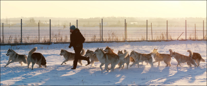 winter melody