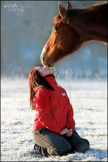 winter melody