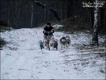 winter melody