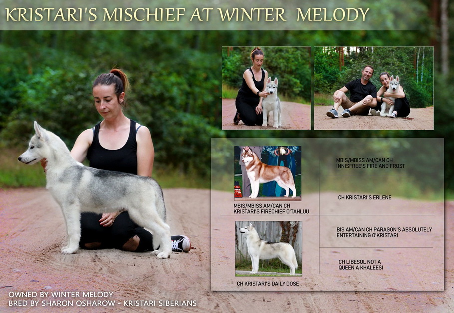 winter melody