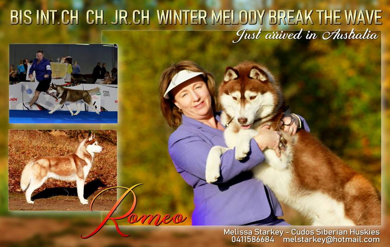 winter melody