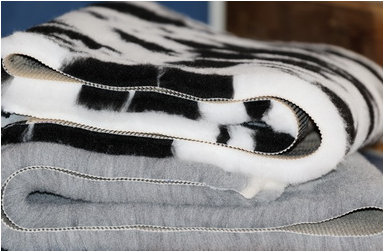 VET BED DRY BED